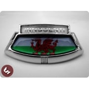 LAMBRETTA LIS/TV/SX TSR Horncast Badge Wales Welsh Flag