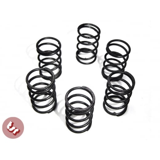VESPA Clutch Spring Set (X6) - VBB VLB VBC PX 125/150