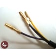 VESPA QUALITY Wiring Loom Sprint/Super/VBB Sportique 6v