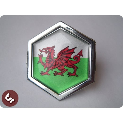 VESPA TSR Horncast Hex Badge PX/LML/T5 Wales/Welsh Flag