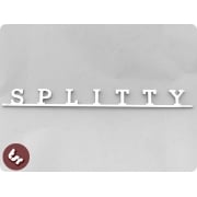 Volkswagen SPLITTY Camper Splitscreen Type 2 VW Bus Kombi Billet Badge/Emblem T2